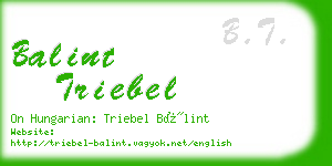 balint triebel business card